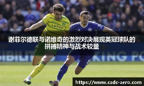 谢菲尔德联与诺维奇的激烈对决展现英冠球队的拼搏精神与战术较量