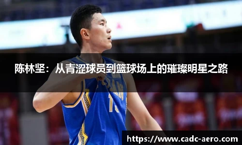 陈林坚：从青涩球员到篮球场上的璀璨明星之路